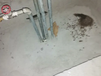 覃塘卫生间测漏水价格明细