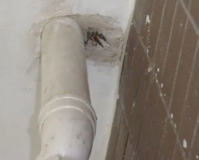 覃塘漏水检测哪家好